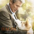 Hachiko: A Dog's Story