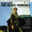 The Black Windmill