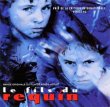 Le Fils Du Requin